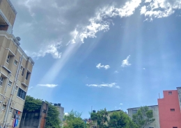 WhatsApp Image 2026-04-08 at 11.53.21